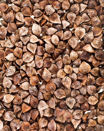 Darı, karabuğday, nohut