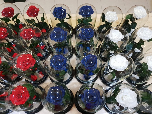 Роза в колбе оптом ассортимент