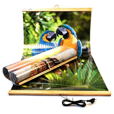 Елена  Денисова