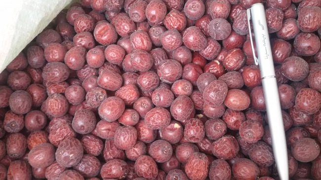 Wholesale: Dried Fruits