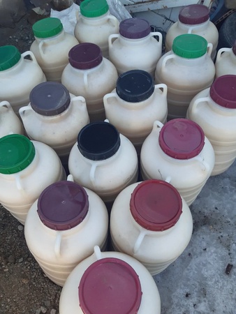 Honey from Kyrgyzstan Toktogul mountain, floral