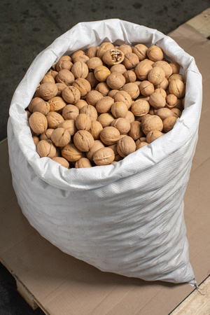 Walnut in shell - China