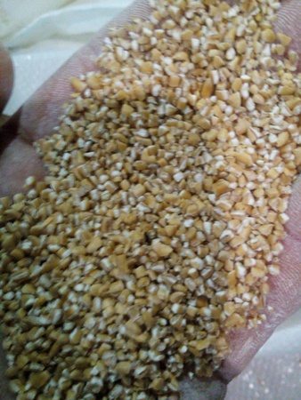 крупа пшеничная