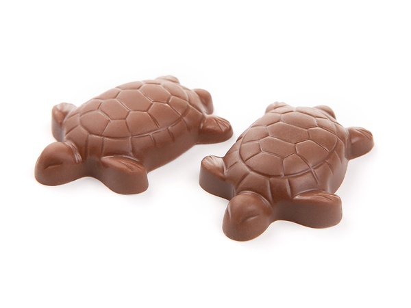 Chocolate turtles in milk chocolate