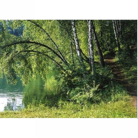 Бережок/8 листов