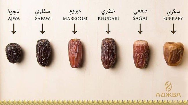 dates ajva, barn, barney, sagai, safavi, sukkari, hudri, mabrum.