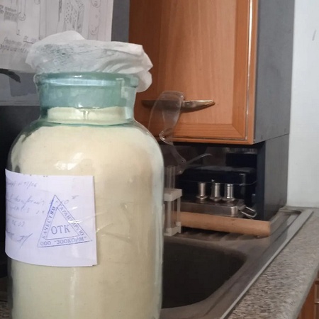 Domuzlar, domuz yavruları ve besi tabletleri "Svinoff" için ön karışım