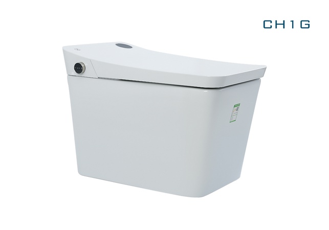 One-piece powerful flushing tankless intelligent toilet upgrade version 2.0.
