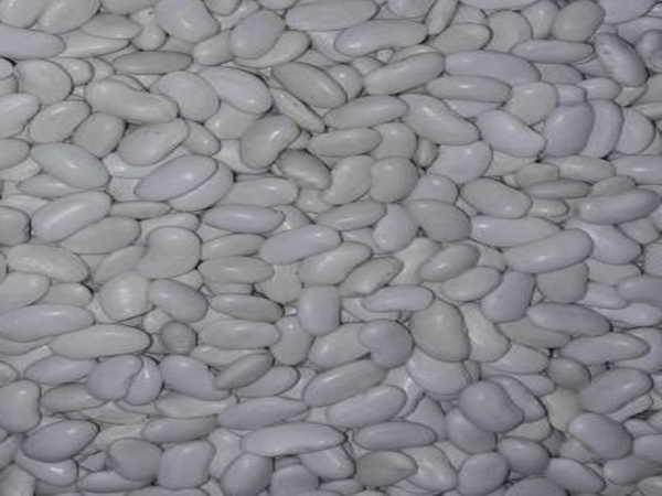 Фасоль белая лопатка 9