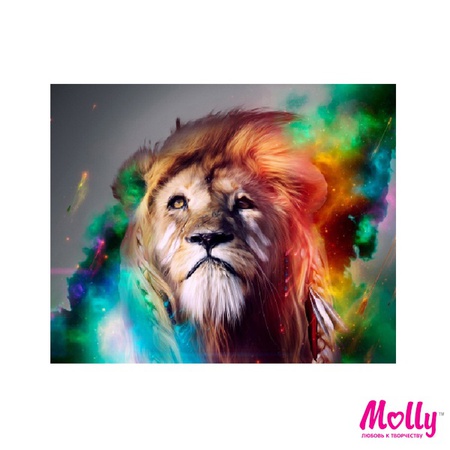 Paint by number Rainbow lion