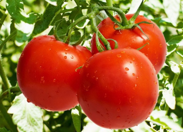 Фрукты и овощи, сухофрукты.