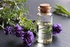 lavender oil