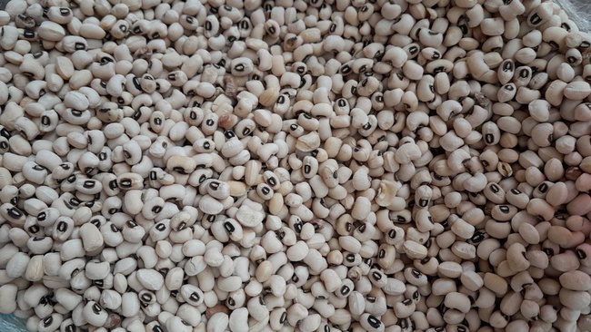 Фасоль черная глаз