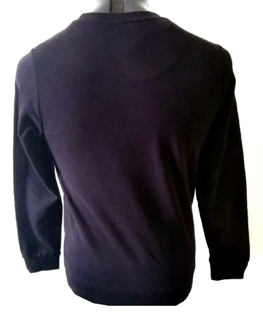 Men's sweatshirt