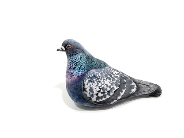 Yumuşak oyuncak güvercin Natasha