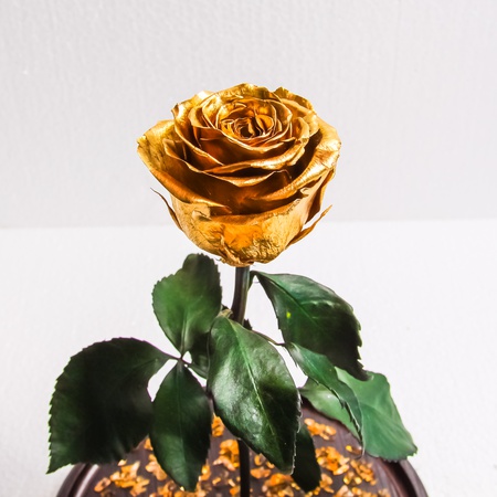 Bir matara içinde gül 28cm premium altın