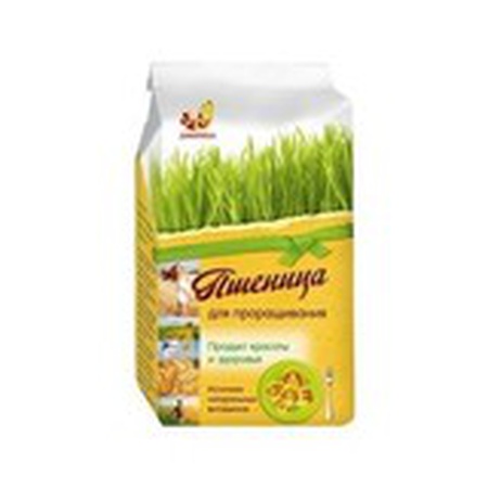 Çimlenme için buğday, Divinka, 500 gr