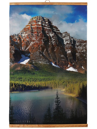 Елена  Денисова