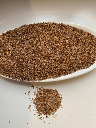 sesame seed natural white red