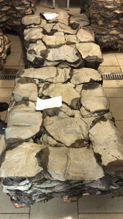 Говяжья книжка