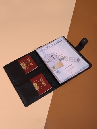 Папка органайзер для документов, семейные документы ПДЛ-400