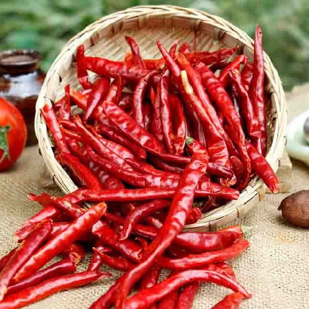 Dry Red Chilli  ​