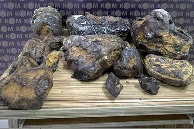 Ambergris (Amber ispermeçet balinası) Balina kusmuğu