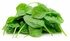 Шпинат свежий