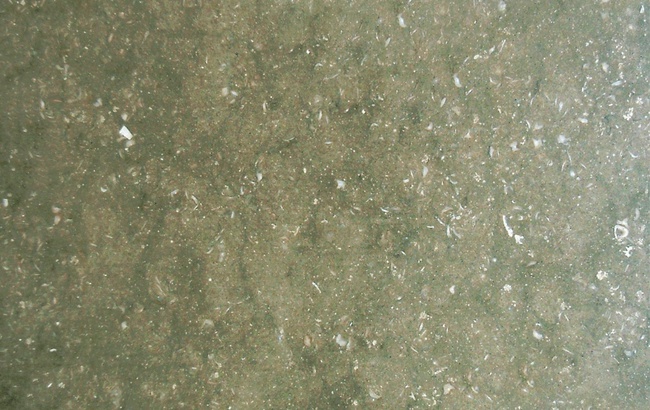 Известняк морской травы