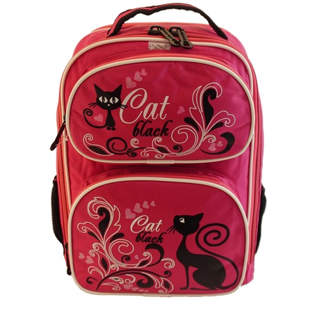 Рюкзак DR 6005 Цвет: розовый