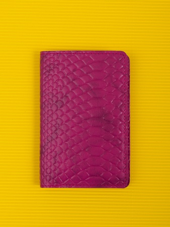 Обложка на паспорт ПТ-51