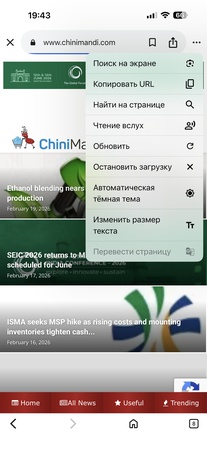 Hand-held powerful steamer