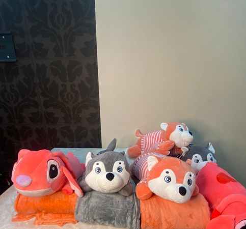 Oyuncaklar, köpeklerin kapsülleri husky