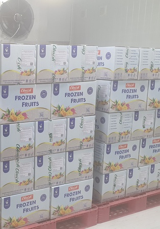 Джекфрут заморозка Оптом. Прямая поставка с завода