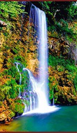 Елена  Денисова