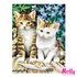 Картина по номерам Котята