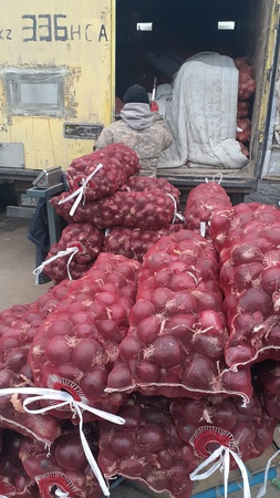 Üreticiden sebze ve meyveler (mevsime göre)