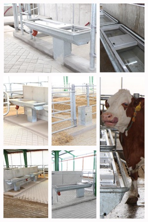 Group heated cattle drinker