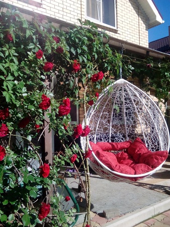 zincire asılı sandalye kozası, bahçe mobilyaları toptan satışı