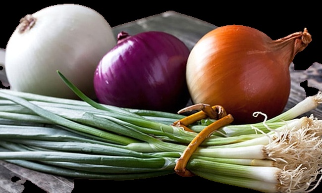 Onion - международная торговая компания