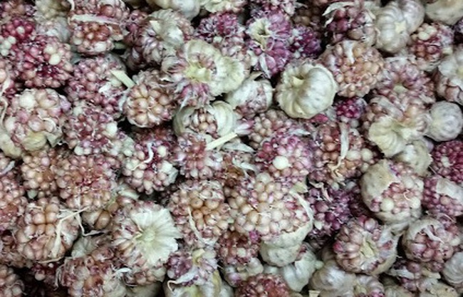 Торговый Дом "Зоря Плюс"