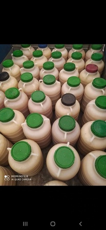 Honey from Kyrgyzstan Toktogul mountain, floral