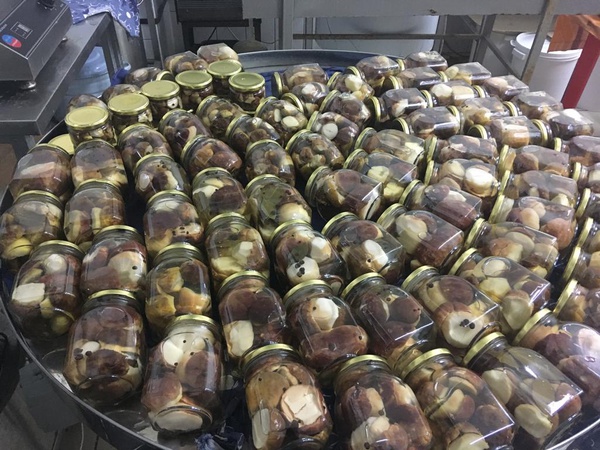 Белые грибы боровики Сибирские в маринаде (ХМАО-ЮГРА)