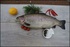 Rainbow trout