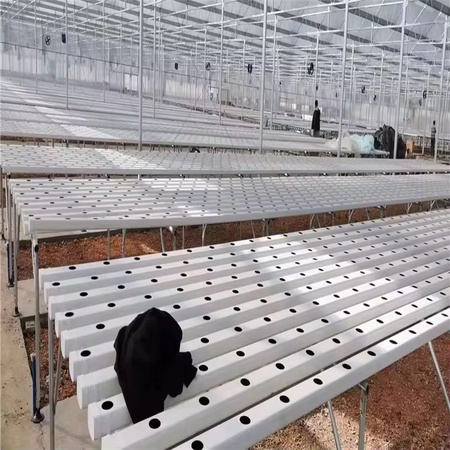 Сельскохозяйственная тепличная система , гидропоники для выращивания клубники и не только .