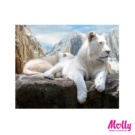 Paint by number White lion