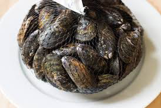 Deniz ürünlerini paketlemek için file kılıf