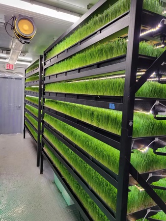 Agricultural greenhouse hydroponic system for growing strawberries and more