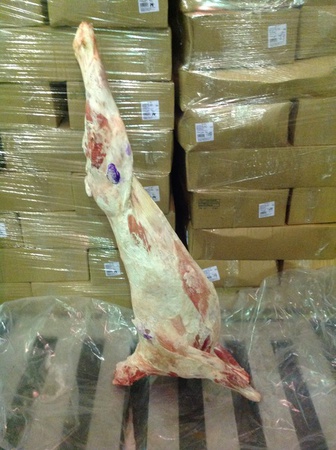 lamb carcasses 14 - 16 kg freezing by industrial plant