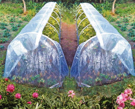 Парник "Огурчик"